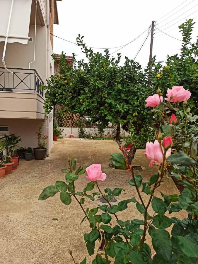 Agathi'S House Daire Mytikas  Dış mekan fotoğraf