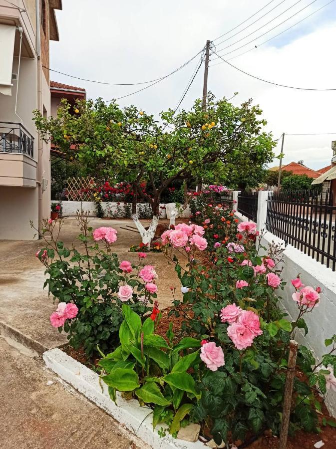 Agathi'S House Daire Mytikas  Dış mekan fotoğraf